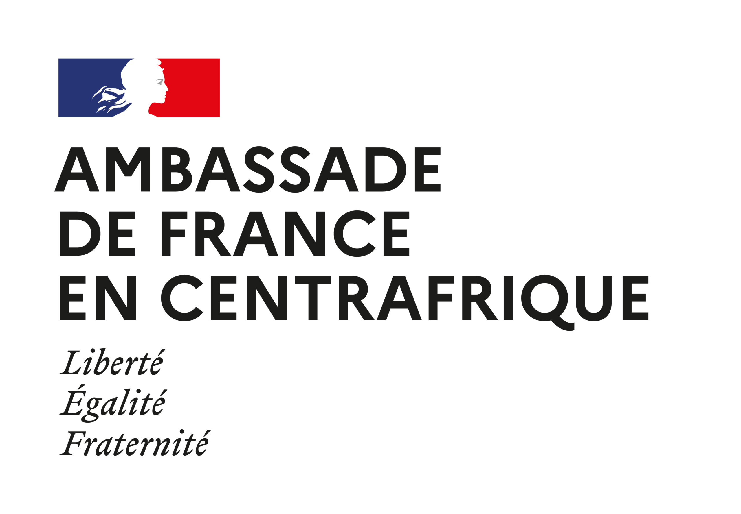 Logo Ambassade de France en Centrafrique